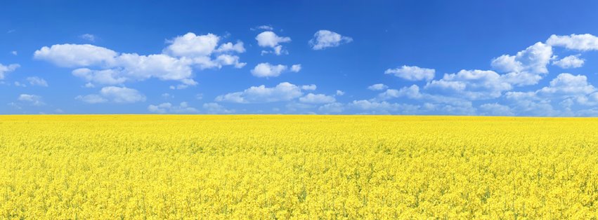 Bayer CropScience