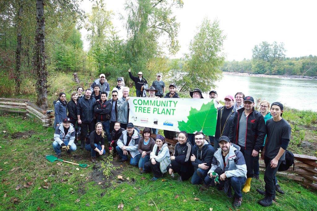 Tree Planting