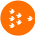 Fish icon