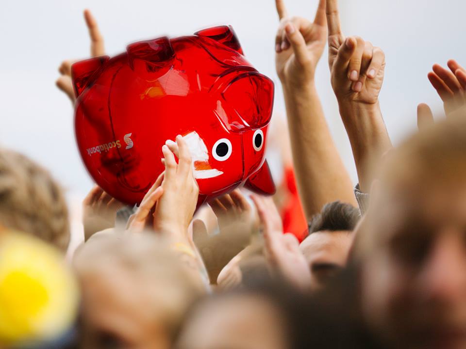 Pig