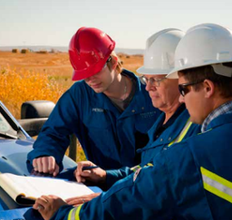 Field workers